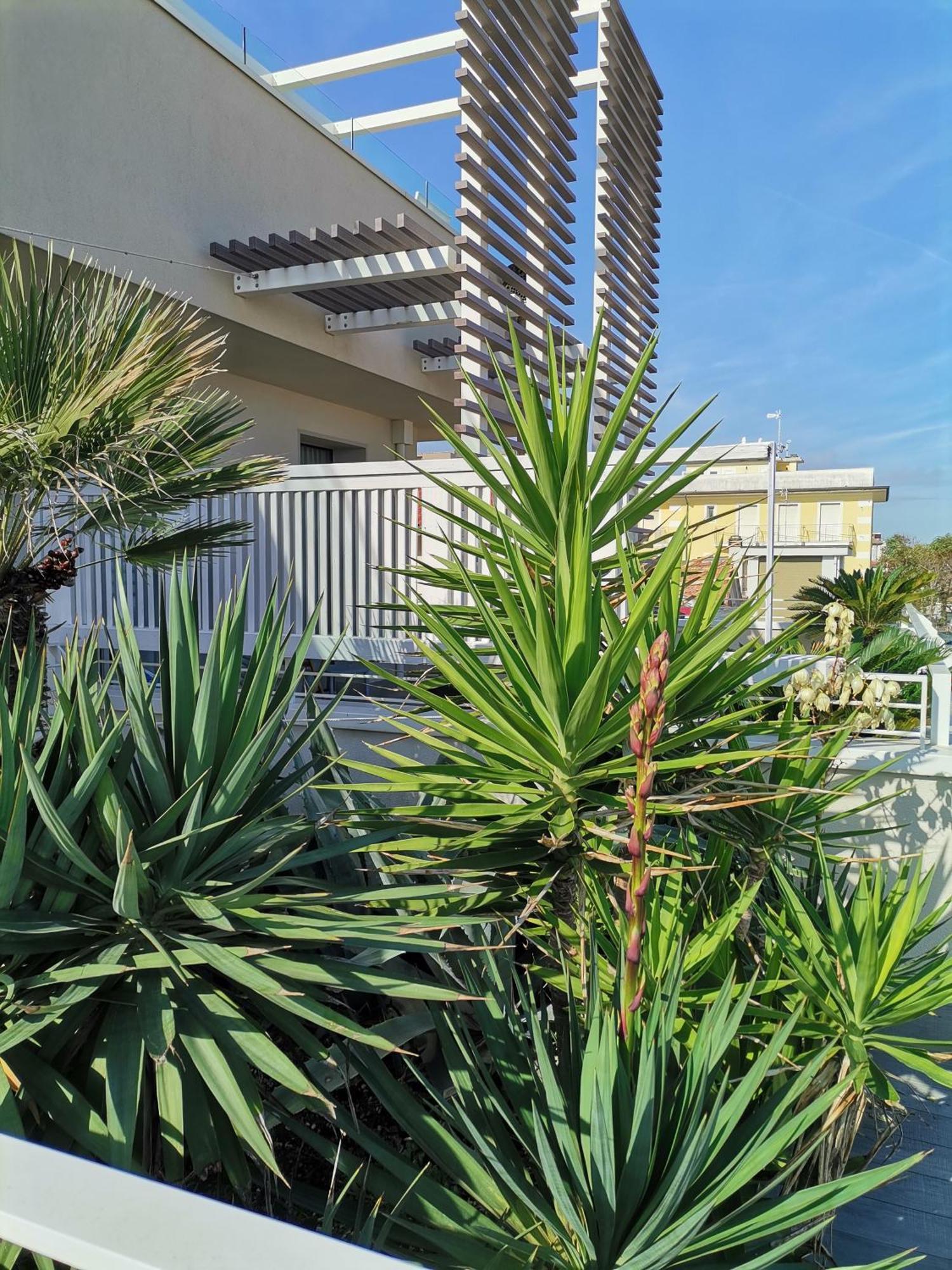 Hotel Madalu Viserba Di Rimini Exterior photo